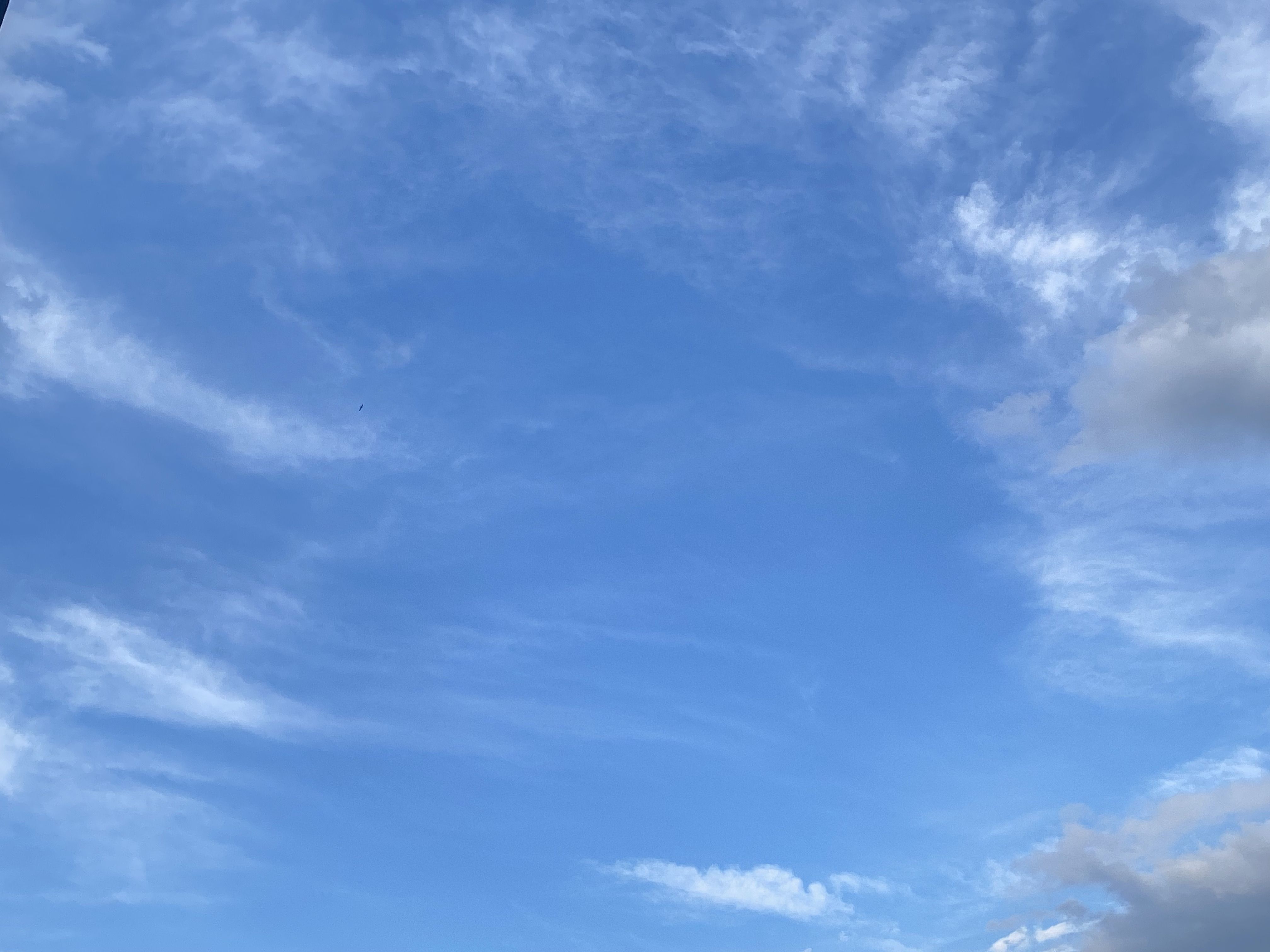 Himmel:weit Gottesdienst & Franziskusfest